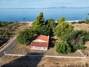 The Beach House